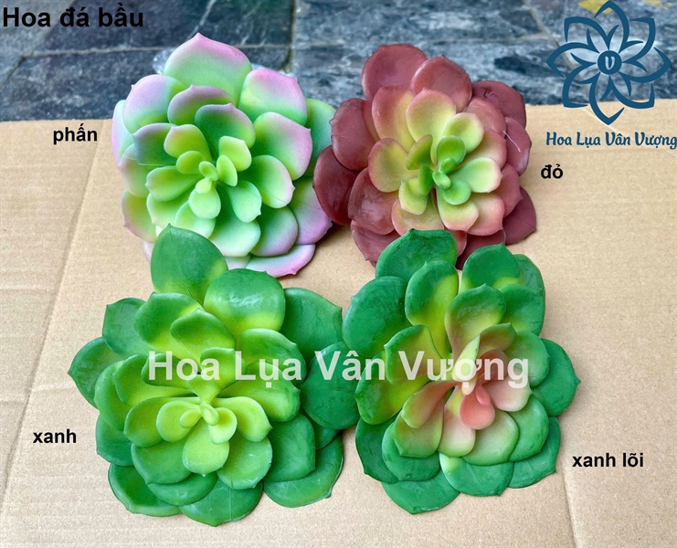 Hoa đá bầu - Hoa đá - Hoa Lụa Vân Vượng