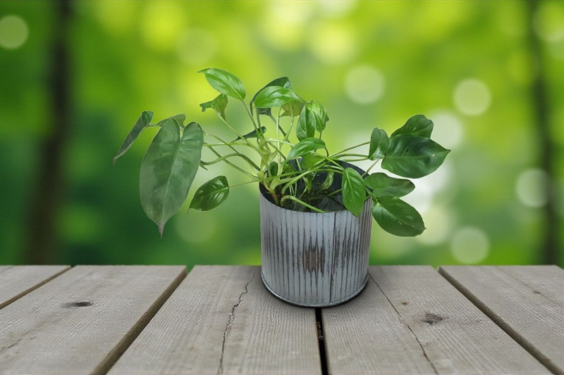 Trụ tròn gân nhỏ 13H13cm (5'x5') màu xám chà