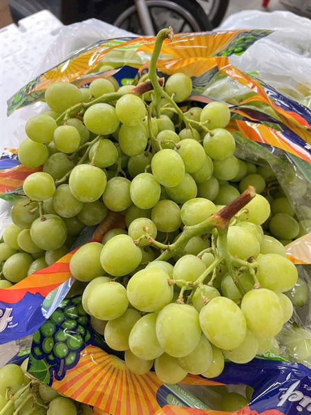 Nho Xanh Mỹ Air Chief Premium Table Grapes