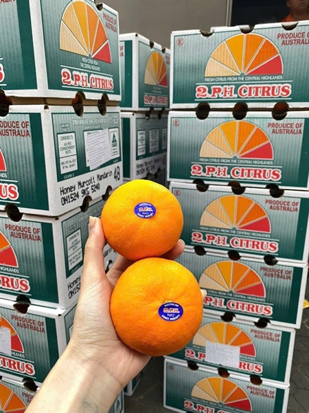 Quýt Úc 2PH Citrus