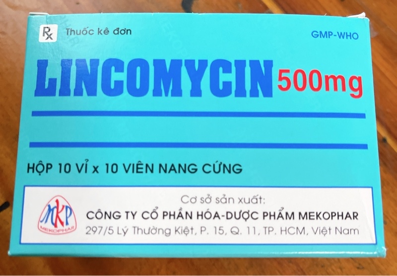 Lincomycin 500mg MKP (H/100V)