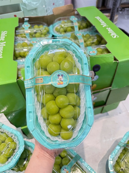 Nho Sữa Đài Loan