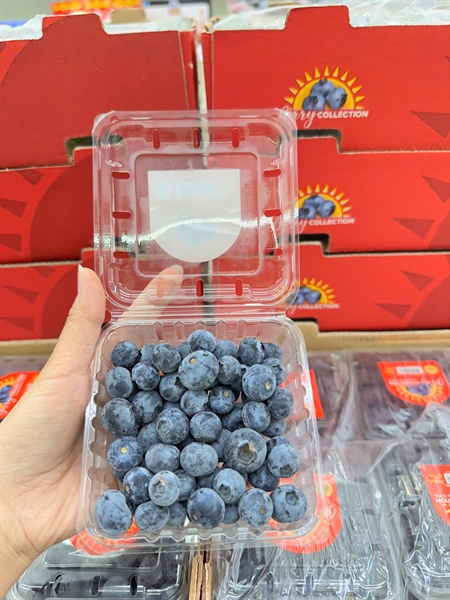 Việt quất hộp 125GR