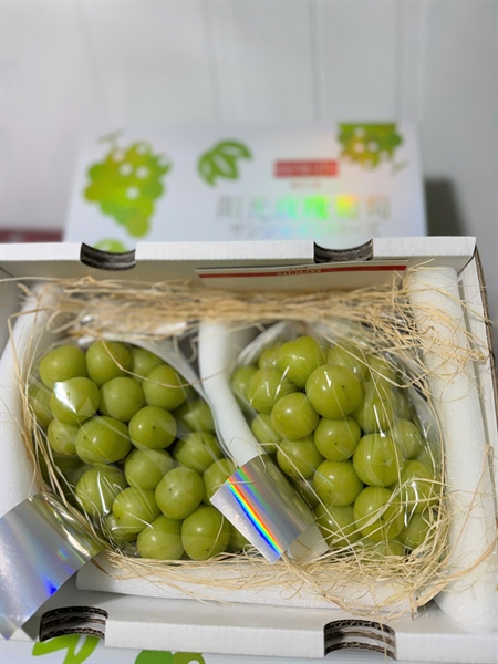 Nho Sữa Xuất Nhật