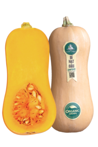 Bí hạt đậu hữu cơ 500-800g
