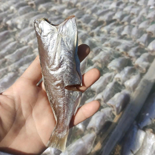 Khô cá đù 1 nắng
