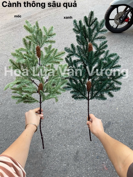 Cành thông sâu quả - Lá cành ngắn - Hoa Lụa Vân Vượng