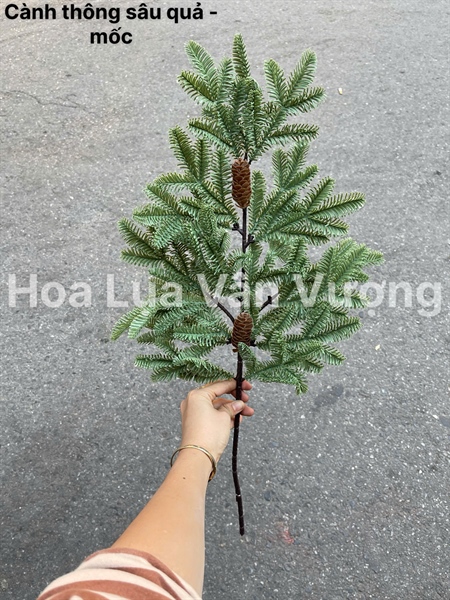 Cành thông sâu quả - mốc - Lá cành ngắn - Hoa Lụa Vân Vượng
