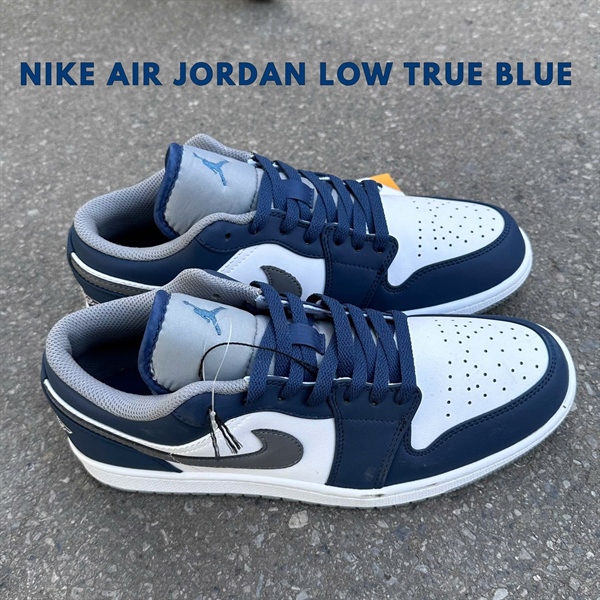 Nike Air Jordan 1 Low True Blue Cement | Xanh than