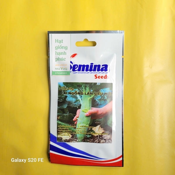 Cải Ngồng Làn Siêu Mập Thái Lan (gói zin)