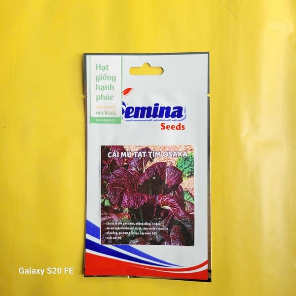 Cải Mù Tạt Tím Osaka (gói zin)