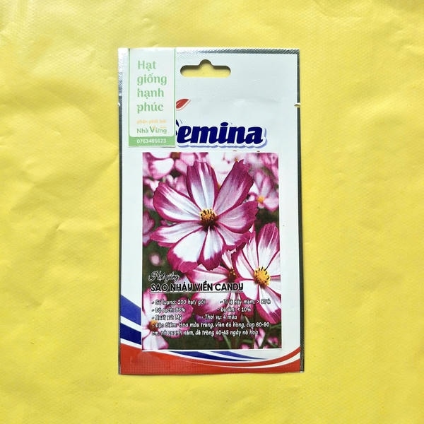 Hoa Sao Nháy Viền Candy (gói zin)