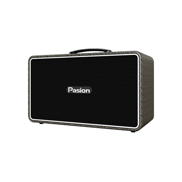 Loa Pasion Arte ( Golden Black)