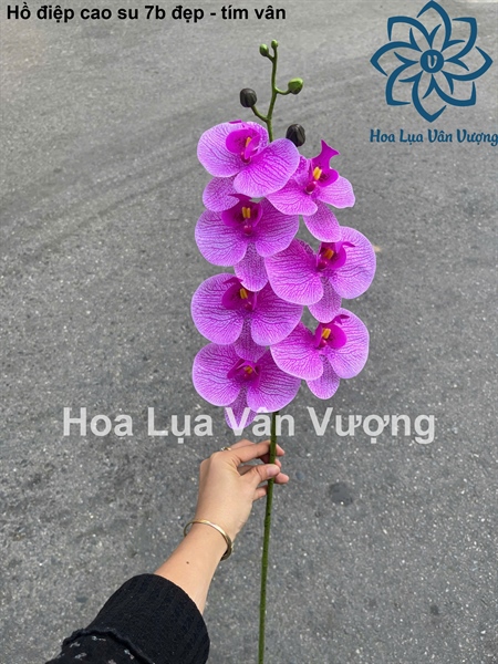 Hồ điệp cao su 7b đẹp - Hồ điệp, lan - Hoa Lụa Vân Vượng