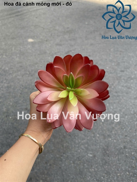 Hoa đá cánh mỏng mới - đỏ - Hoa đá - Hoa Lụa Vân Vượng
