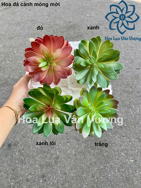 Hoa đá cánh mỏng mới - Hoa đá - Hoa Lụa Vân Vượng