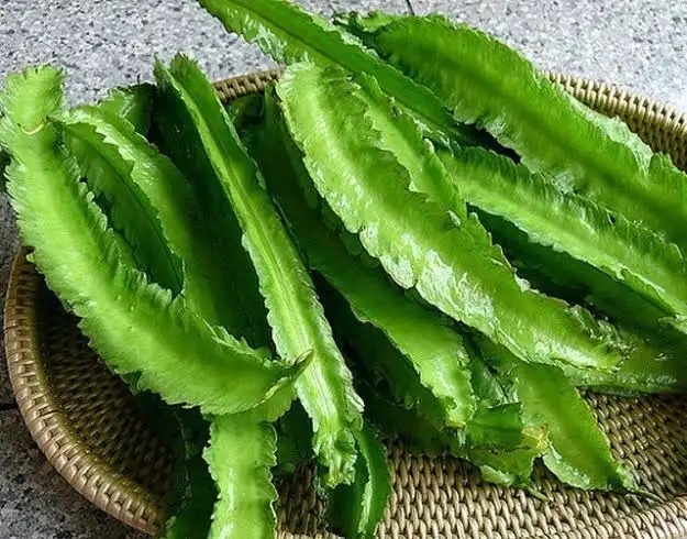 Đậu Rồng