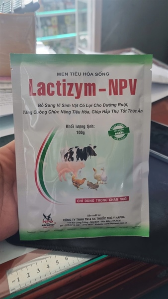 Men tiêu hóa lactizym npv