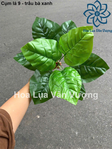 Cụm lá 9 - Trầu bà xanh - Lá cành ngắn - Hoa Lụa Vân Vượng