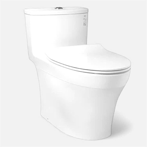 Bồn cầu 1 khối TOTO (I)