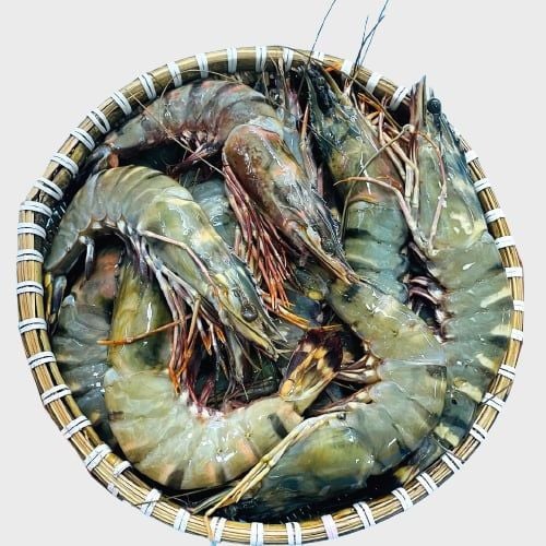 Tôm Sú quảng canh 30-35con/1kg