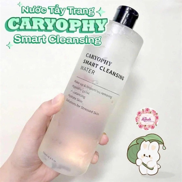 NƯỚC TẨY TRANG TRỊ MỤN CARYOPHY - 500ML(SALE)