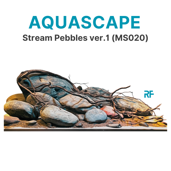 Cuội ver.1 (Ms020)