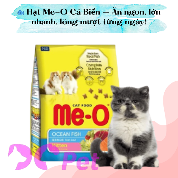 ME-O - MÈO CON