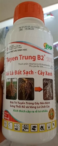 Tuyến trùng B2 480ml