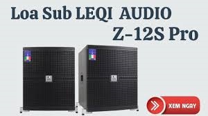 Loa Sub Leqi Z12S pro