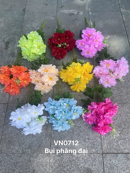 BỤI BÔNG PHĂNG 7B VN0712