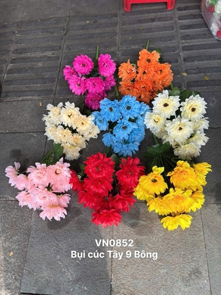 BỤI CÚC TÂY 9B VN0852