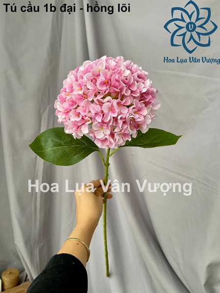Tú cầu 1b đại - hồng lõi - Hoa cành dài - Hoa Lụa Vân Vượng