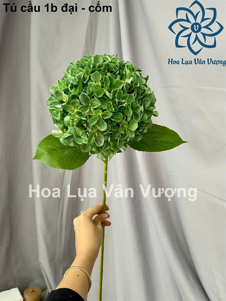 Tú cầu 1b đại - Cốm - Hoa cành dài - Hoa Lụa Vân Vượng