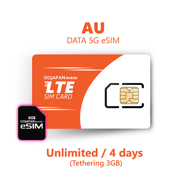 DATA SIM