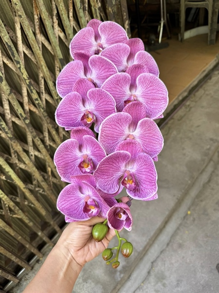 Hồ điệp cao su 10b xịn - Hồ điệp, lan - Hoa Lụa Vân Vượng