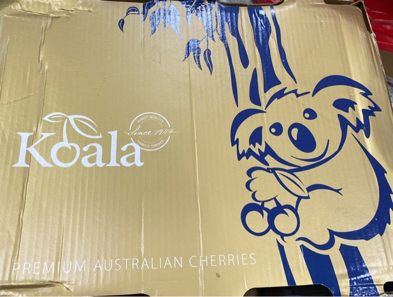 Cherry Úc Koala Kg