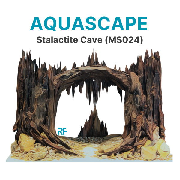 Hang Thạch Nhũ (Ms024)