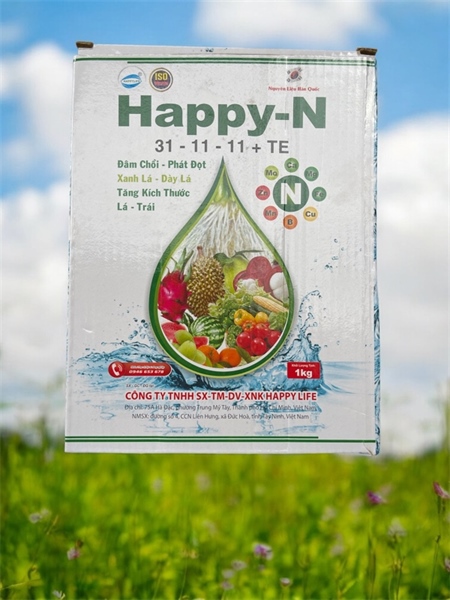HAPPY-N 31-11-11