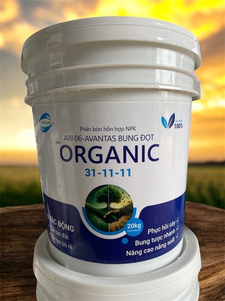 ORGANIC 31-11-11