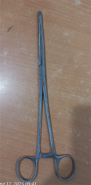 Panh thẳng không mấu 24cm - Germany/pakistan 2