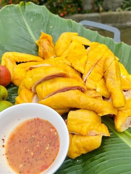 Gà ủ muối thảo mộc (nửa con)