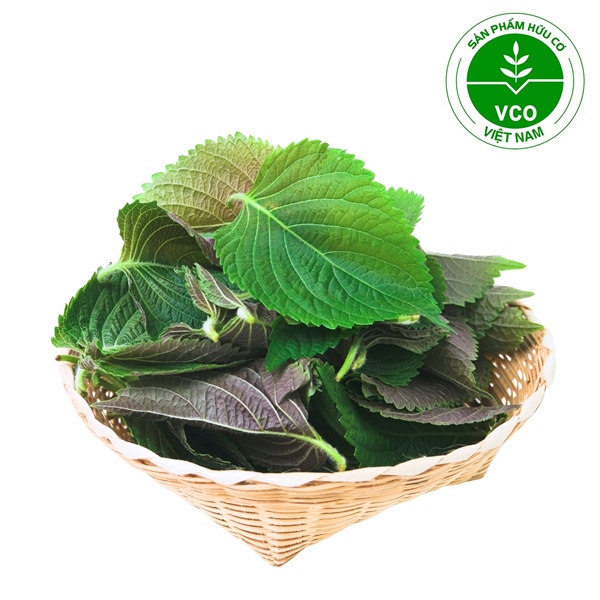 Tía tô Hữu cơ (Gói 100 g)