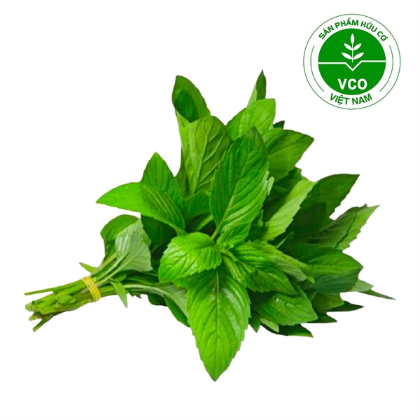 Húng cây Hữu cơ (Gói 50 g)