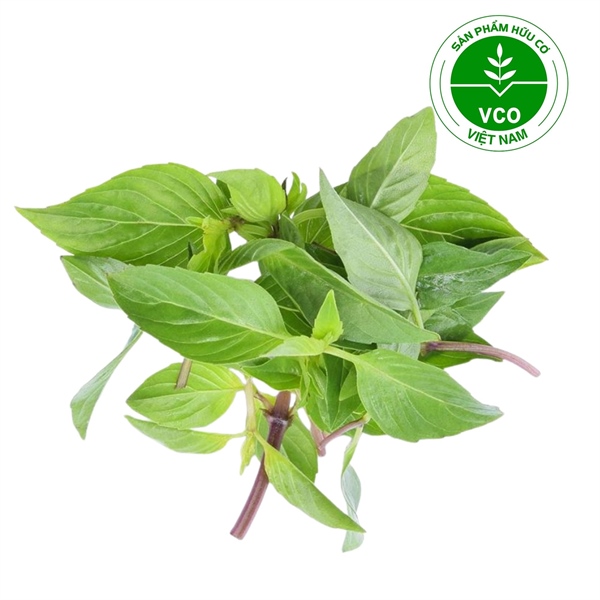 Húng quế Hữu cơ (Kg)