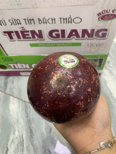 Vú Sữa Tím Bách Thảo Kg