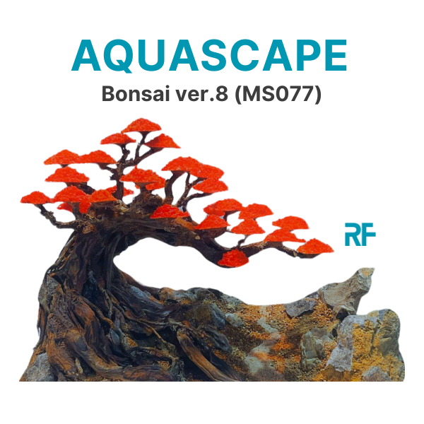 Bonsai ver.8 (Ms077)