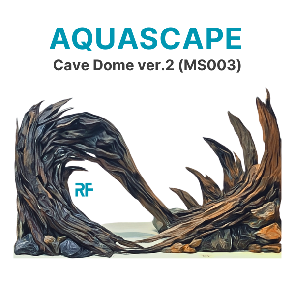 Hang Vòm ver.2 (Ms003)