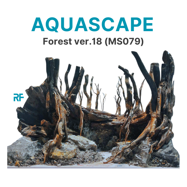 Rừng ver.18 (Ms079)