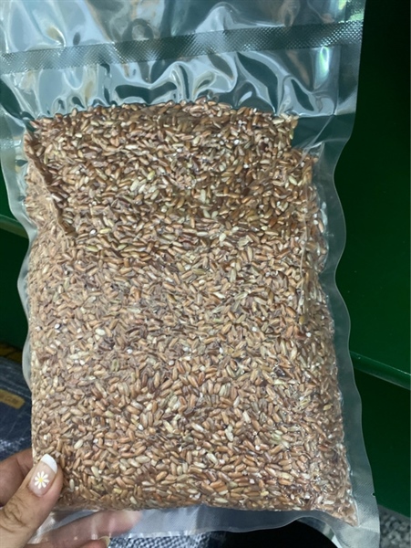 gạo lửt đỏ đeo điện biên